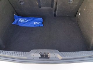 FORD Focus 1.0t ecoboost h ST-Line X 125cv