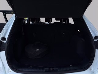 FORD Kuga phev ST-Line X 2wd Automatica