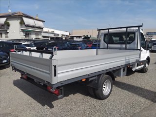 FORD Transit 350 130cv trend L4 r.gem. CASSONE 4200 MM