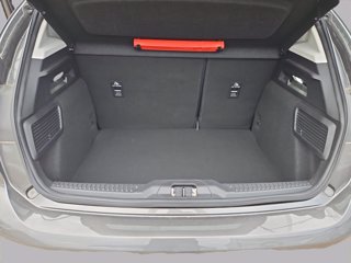 FORD Focus ecoblue Business 5 porte
