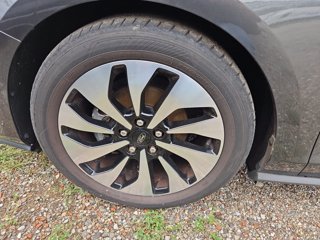 FORD Focus ecoblue Business 5 porte