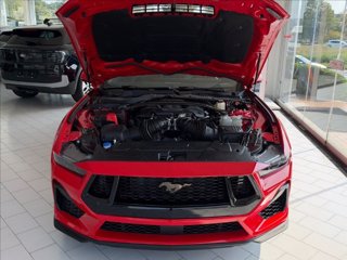 FORD Mustang Fastback 5.0 V8 GT 446cv
