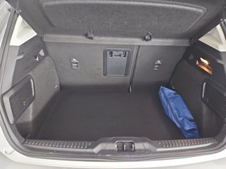 FORD Focus Active 1.0 ecoboost h Style 125cv powershift