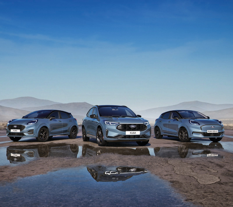 Gruppovis Gamma Blue Cruise Edition