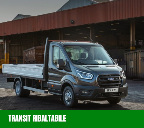 TRANSIT RIBALTABILE