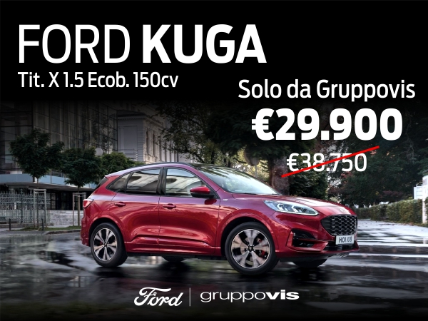600X450kuga (1)