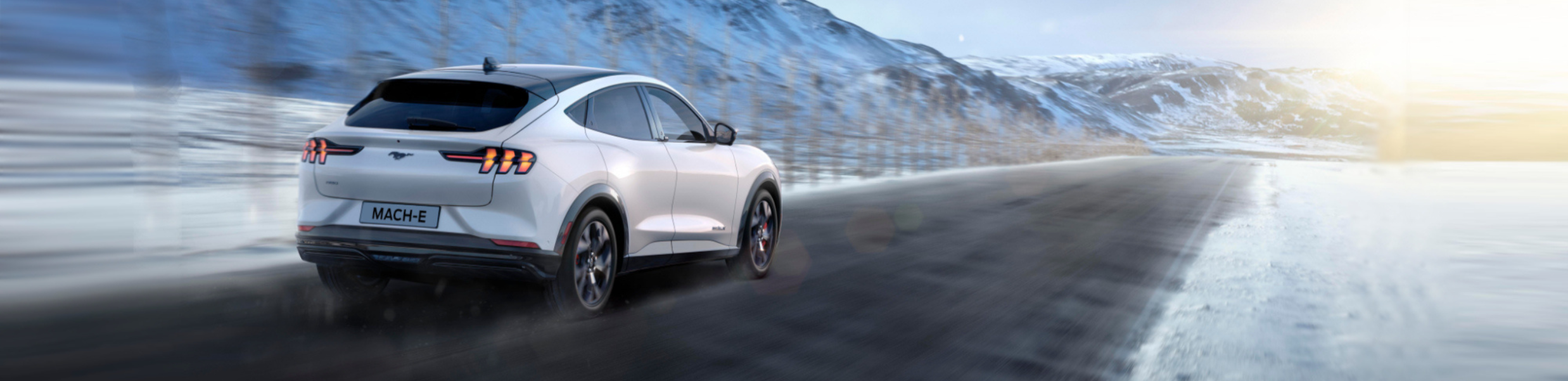 Progetto Senza Titolo (55)