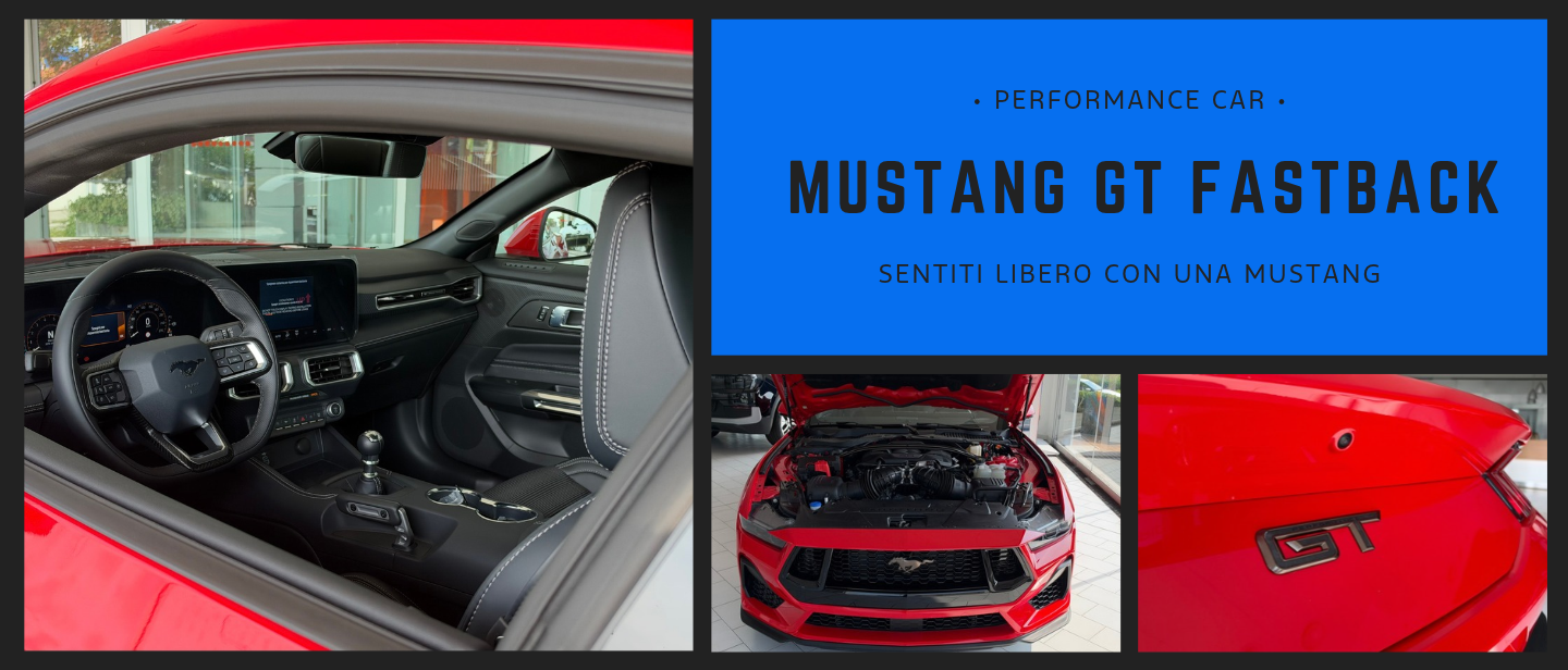 • PERFORMANCE CAR •