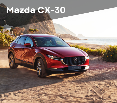 Mazda CX-30 Privati