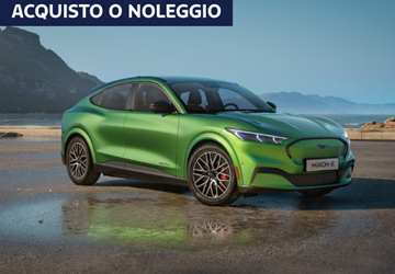 Umbraco.Web.PublishedModels.Image?.Name